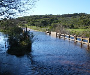 Oue gegroet Nuwe Verwelkom